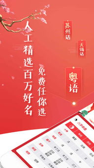 如何通过名典起名网免费算命获取个性化的智能算命起名服务？