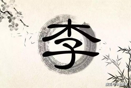 一. 古风雅韵：经典之选