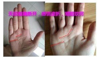 三、 天纹与人纹交汇（Head & Heart Lines Intersection）之社会性格关联