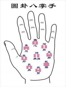 手相中天医纹和十字纹分别代表什么含义？