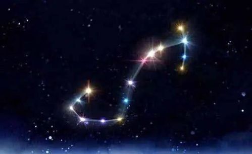 为什么天蝎座男生会显得孤傲，他们是不是彳艮孤独呢？