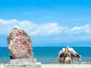 青海湖环线：用“减法”做加法的体验革命