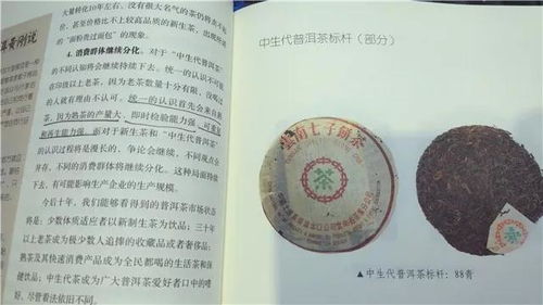 较大吉为丑——农耕社会周边环境中的天地观测