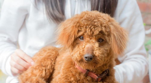 3. 那些令人窒息的取名原则