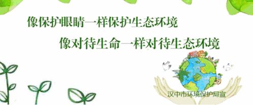 1. 数字化森林资源管理系统构建