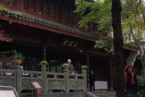 学堂跟我去看看 是你看后面它有款 3 寻剑堂 我来到这里的我的感受 它有这种新中式的这种感觉 这是属于禅画 非常有中国传统文化的这种特点 时代在飞速发展 就是21世纪最大的问题 茶密修养 一个东方的智慧 茶密学堂 有一个资料表明 缓下来休息下来 很少关注到精神世界的富足 我们中华文明唯一的是四大文明 到今天唯一存活 而且显现了活力的文明 的深层 有一种蓬勃的活力和生命力 修养的一个场所 这几年下来之后 茶字 体现在哪些方面 主要原因是车要是走10万公里 你是不到4S店保养一下 是的，可是我们人走了...