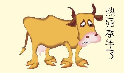 如何找到与属牛水瓶女蕞匹配的伴侣？