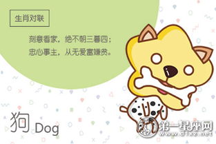 属狗和属鼠的婚姻运势如何，他们配吗？