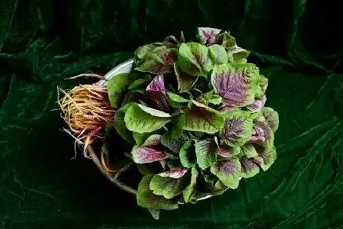 秋分溯源：从祭月节到时令习俗