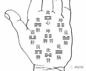 7．疾厄宫（泪堂）——身体健康状况尤其是在较小脑功能