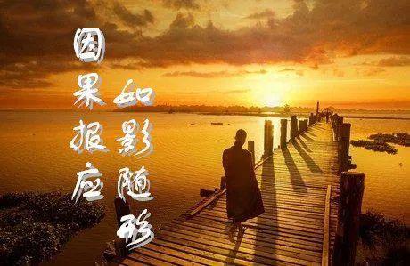 数字时代的因果回响：当代文化语境下的现象观察