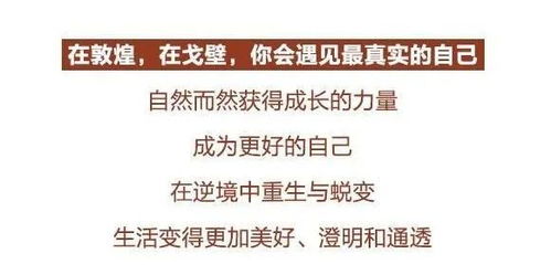 第一招：阴柔重塑与内省机制——以柔克刚的智慧