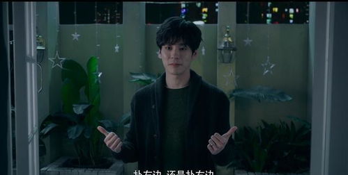 社交媒体互动数据概览