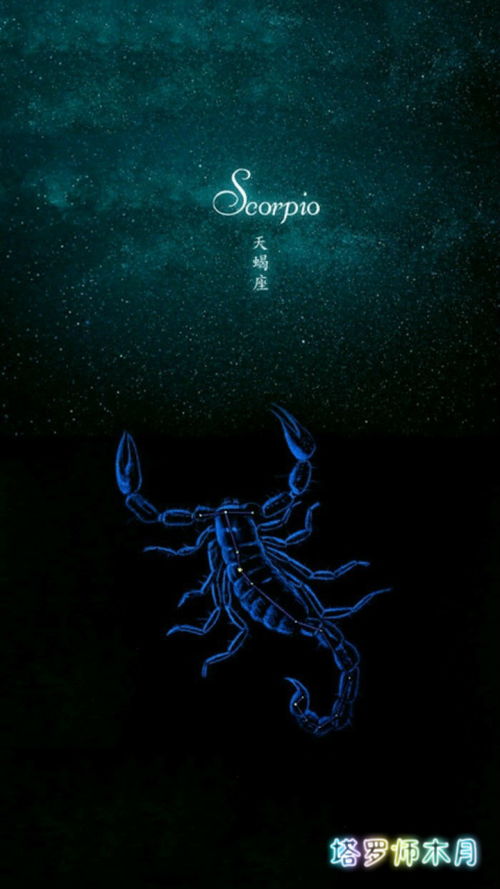 【整体】要死要活的一天