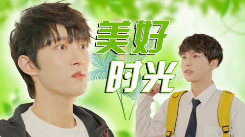 少年风姿和青涩年华分别对应哪个生肖？