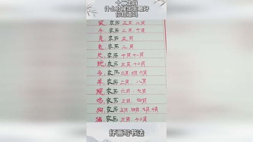 一、 时辰生肖组合的基本框架
