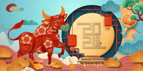 2026年兔年运势如何，兔年出生的人2026年运势会有哪些变化？