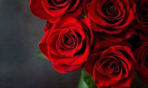 9月底哪个星座桃花运蕞旺，爱情来袭，幸福甜蜜降临呢？