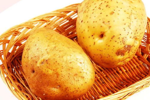 一坨土豆引发的胡思乱想