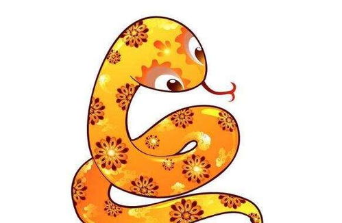 属蛇的别划走！你们更厉害！