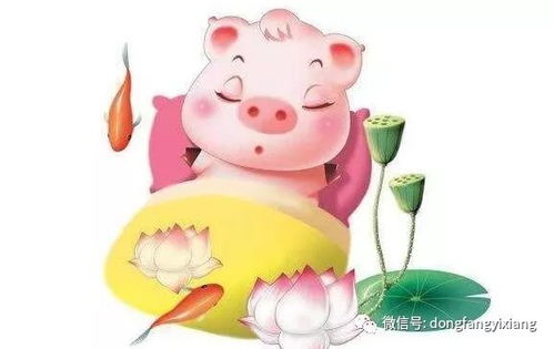 今天冲哪个生肖需要注意什么呢？