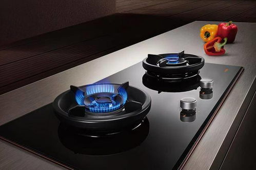 2026年1月和3月新灶点火吉日分别是哪一天？