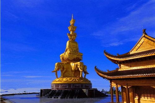 本地人特权？酸了酸了！