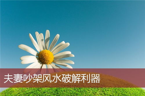 一、风水这玩意儿真的能拯救你的婚姻吗？