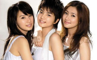 八字天地鸳鸯合，天地鸳鸯组合详解是什么？