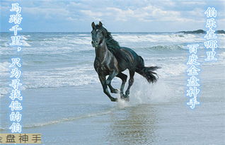 给马姓男宝宝起名的几个方向 (可嫩不太靠谱)