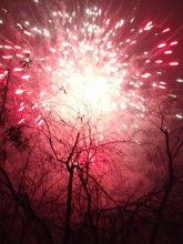 火树银花明盛开解什么生肖，火树银花盛开指什么数字是什么生肖对应的数字？