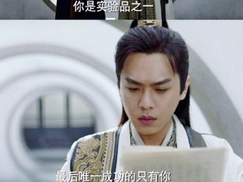 四、 对话记录中的实际价值取向与批判性思考
