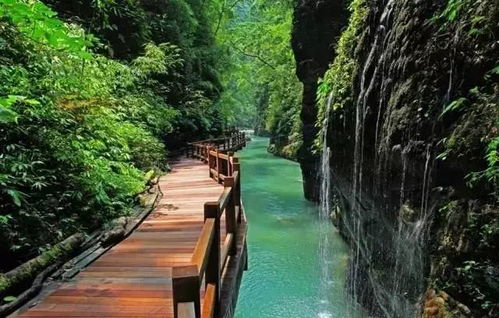 重庆周边游的魅力：不止于风景