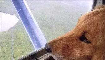 1.1 名字的深度挖掘