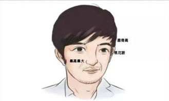 圆鼻孔的男人命运究竟会如何演变，会有哪些特殊经历和结果呢？