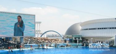 名古屋港水族馆：排队时间比娃的注意力还短
