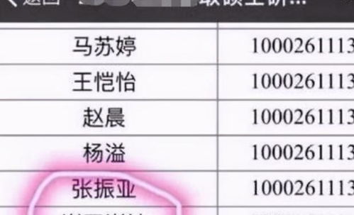 1. 谐音型 surname 的运用