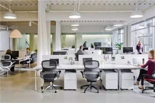 七、结论与反思：办公室风水是否应被视作事业成功的重要杠杆？