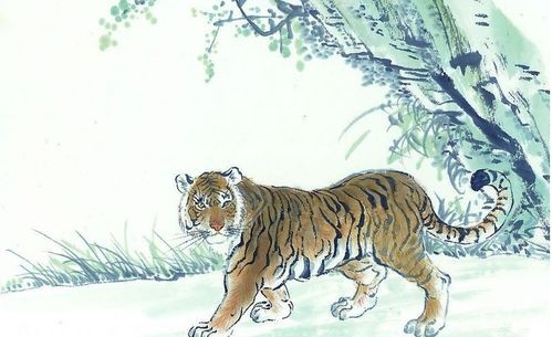 山字名字翻车现场