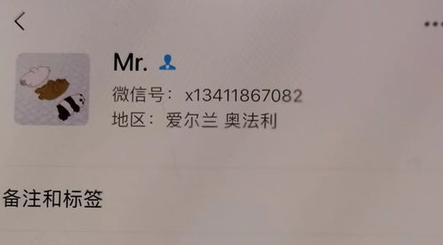 案例解析：从具体昵称看性格投射
