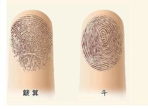 手上有九个斗、 一个簸箕：丰衣足食、衣食无忧