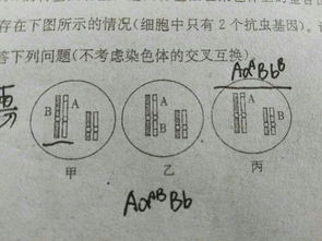 丙辛年月天干威制之合具体如何解读？