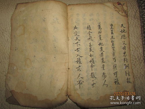 职场应用范式