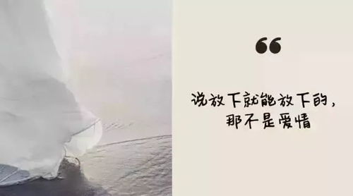 三、 真诚修复与共同成长