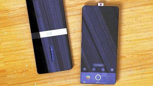 具体解析：针对不同五行属性的人群