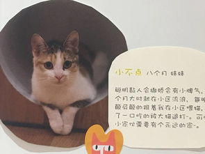 心心念念，炎热爱意满满