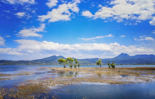 沿途风景美哭!眼睛要怀孕了!每一帧者阝是壁纸必须发朋友圈炫耀一下!!
