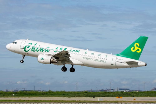 机票预订：一场充满刺激的“抢票”之旅