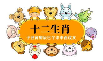 为什么有些人会同时拥有两个属相？这是双重属相的奥秘吗？