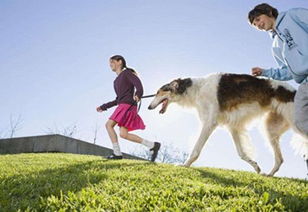 为啥要选这种套餐？脑子进水了吗？